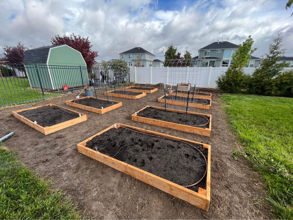 480750899 562708896813264 7637398212804055066 n